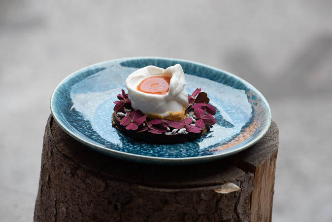 Chocolate glazed rosehip cake, candied fennel seeds, rosehip crème and soured milk sorbet - Recept hos AVEQIA Stockholm